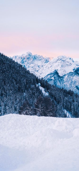 粉调黄昏雪山森林手机壁纸 冬日雪景竖屏锁屏桌面